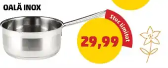 Penny OALĂ INOX Ofertă