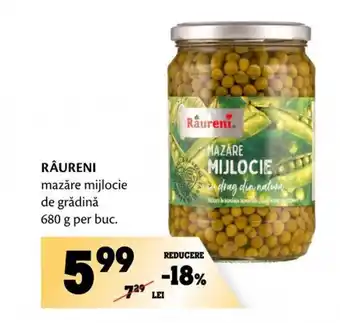 Annabella RÂURENI mazăre mijlocie de grădină Ofertă