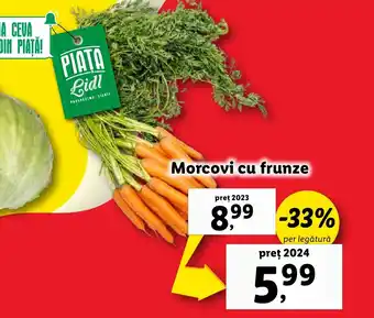 Lidl Morcovi cu frunze Ofertă