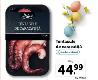 Lidl Tentacule de caracatiţă Ofertă