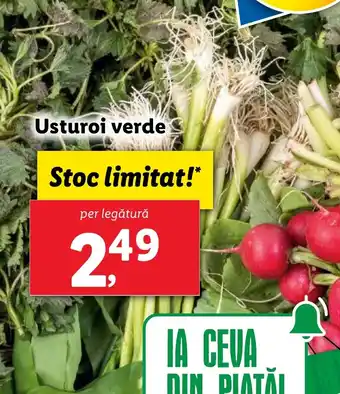 Lidl Usturoi verde Ofertă