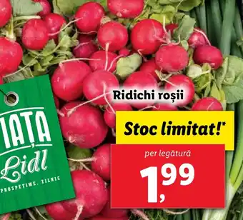 Lidl Ridichi roşii Ofertă