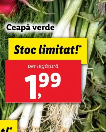 Lidl Ceapă verde Ofertă