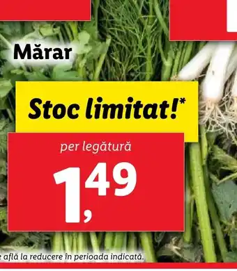 Lidl Mărar Ofertă