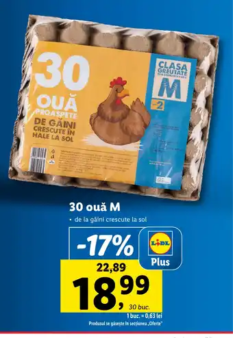 Lidl 30 ouǎ M Ofertă