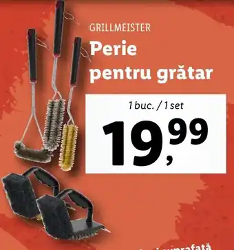 Lidl Perie pentru grătar Ofertă