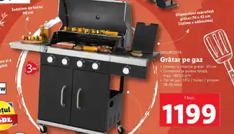Lidl Grătar pe gaz Ofertă