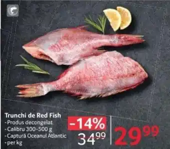 Selgros Trunchi de Red Fish Ofertă