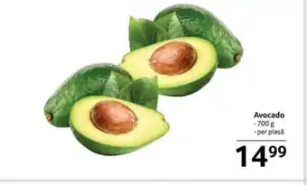 Selgros Avocado Ofertă