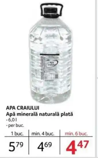 Selgros APA CRAIULUI Apă minerală naturală plată Ofertă