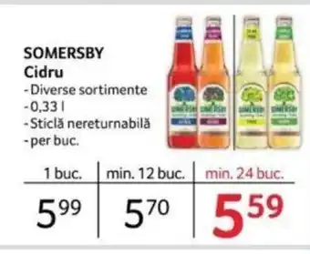 Selgros SOMERSBY Cidru Ofertă