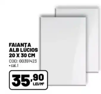 FAIANTA ALB LÚCIOS 20 X 30 CM