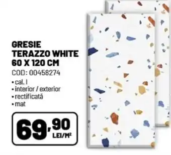 GRESIE TERAZZO WHITE 60 x 120 CM