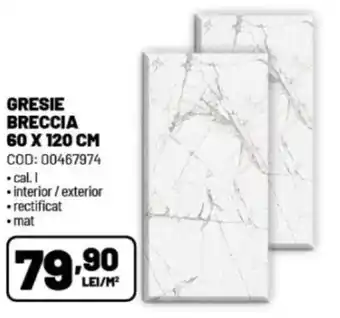 Ambient GRESIE BRECCIA 60 X 120 CM Ofertă