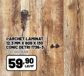 Ambient PARCHET LAMINAT 12.3 MM X 808 X 130 CONIC DETRI 1736-3 Ofertă