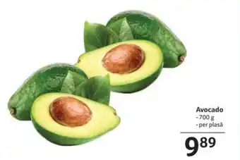 Selgros Avocado Ofertă