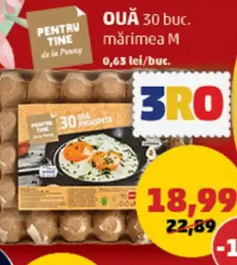 Penny OUĂ Ofertă