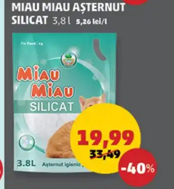 Penny MIAU MIAU AŞTERNUT SILICAT Ofertă