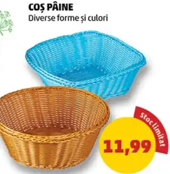 Penny COS PÂINE Ofertă