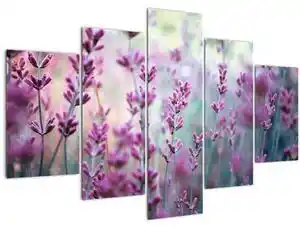 Favi Tablou - Lavandă (150x105 cm) Ofertă