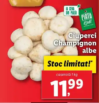 Lidl Ciuperci Champignon albe Ofertă