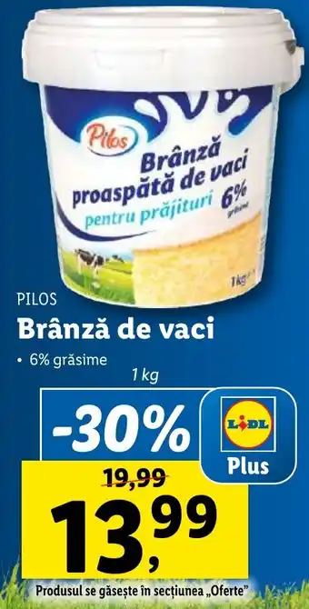 Lidl PILOS Brânză de vaci Ofertă