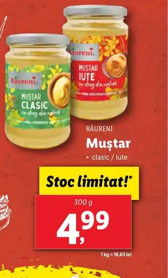Lidl RÂURENI Muştar Ofertă