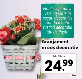 Lidl Aranjament în coș decorativ Ofertă