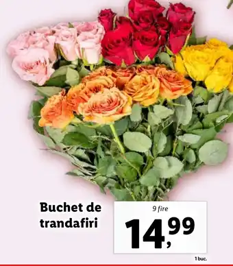 Lidl Buchet de trandafiri Ofertă