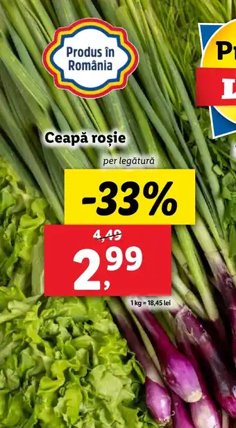 Lidl Ceapă roşie Ofertă