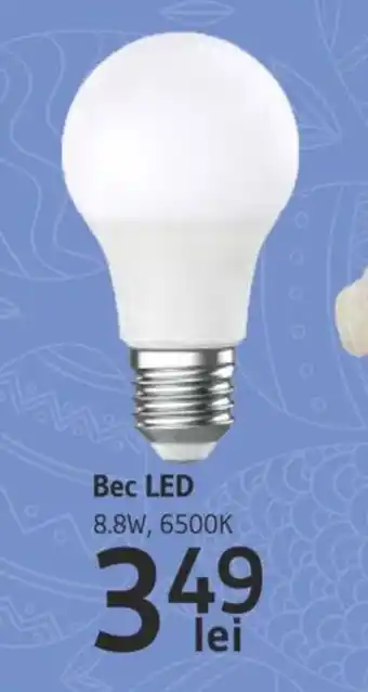 Supeco Bec LED Ofertă