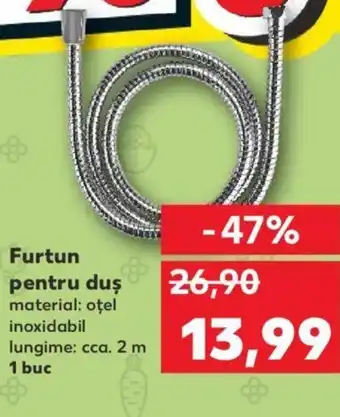 Kaufland Furtun pentru duș Ofertă