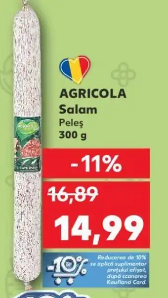 Kaufland AGRICOLA Salam Ofertă