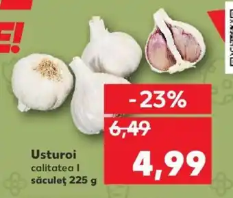 Kaufland Usturoi Ofertă