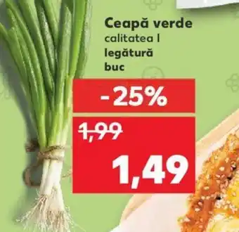 Kaufland Ceapă verde Ofertă