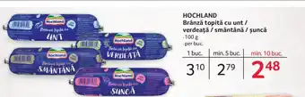 HOCHLAND Brânză topită cu unt / verdeaţă / smântână / șuncă