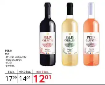 Selgros PELIN Vin Ofertă