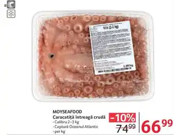 Selgros MOYSEAFOOD Caracatiță întreagă crudă Ofertă