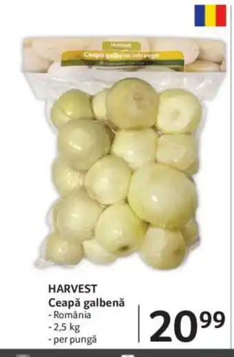 HARVEST Ceapǎ galbenă