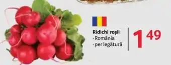 Selgros Ridichi roşii Ofertă