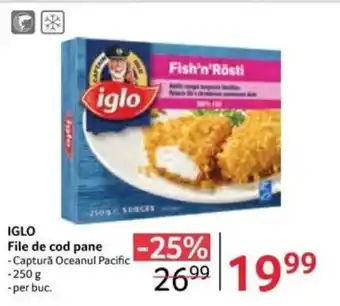 Selgros IGLO File de cod pane Ofertă