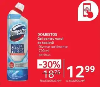 Selgros DOMESTOS Gel pentru vasul de toaletă Ofertă