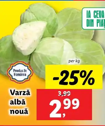 Lidl Varzǎ albă nouă Ofertă