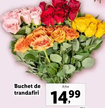 Lidl Buchet de trandafiri Ofertă