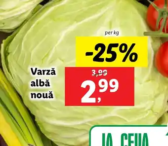 Lidl Varzǎ albă nouǎ Ofertă