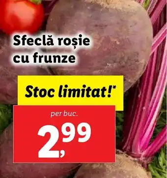 Sfeclă roşie cu frunze