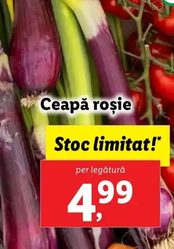 Lidl Ceapă roşie Ofertă