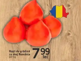 Supeco Roşii de grădină cu mot România Ofertă