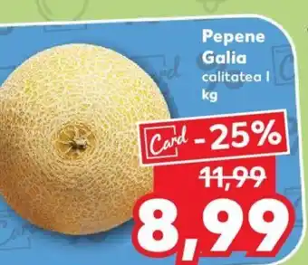 Kaufland Pepene Galia Ofertă