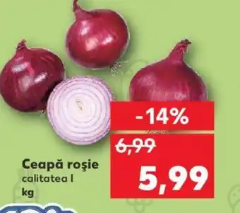 Kaufland Ceapă roşie Ofertă